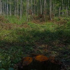 Фото: ГЭИ