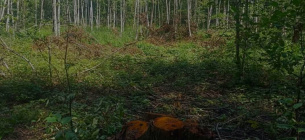 Фото: ДЕІ