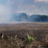 На Золотоніщині третю добу ліквідовують масштабну торф’яну пожежу на площі 10 гектарів