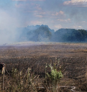 На Золотоніщині третю добу ліквідовують масштабну торф’яну пожежу на площі 10 гектарів