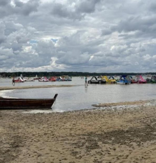 Чому міліють Шацькі озера і чи винна лохина