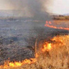 Оштрафовано аграрія за спалювання стерні у Баштанському районі