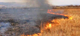 Оштрафовано аграрія за спалювання стерні у Баштанському районі