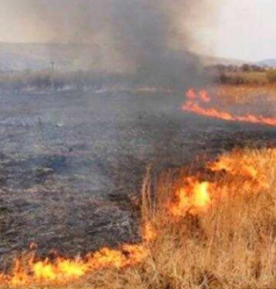 Оштрафовано аграрія за спалювання стерні у Баштанському районі