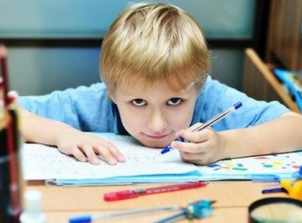 13 серпня всесвітній день шульги 