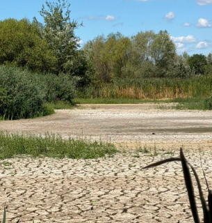В Ужгороді висохло Чорне озеро: унікальна екосистема опинилася під загрозою знищення