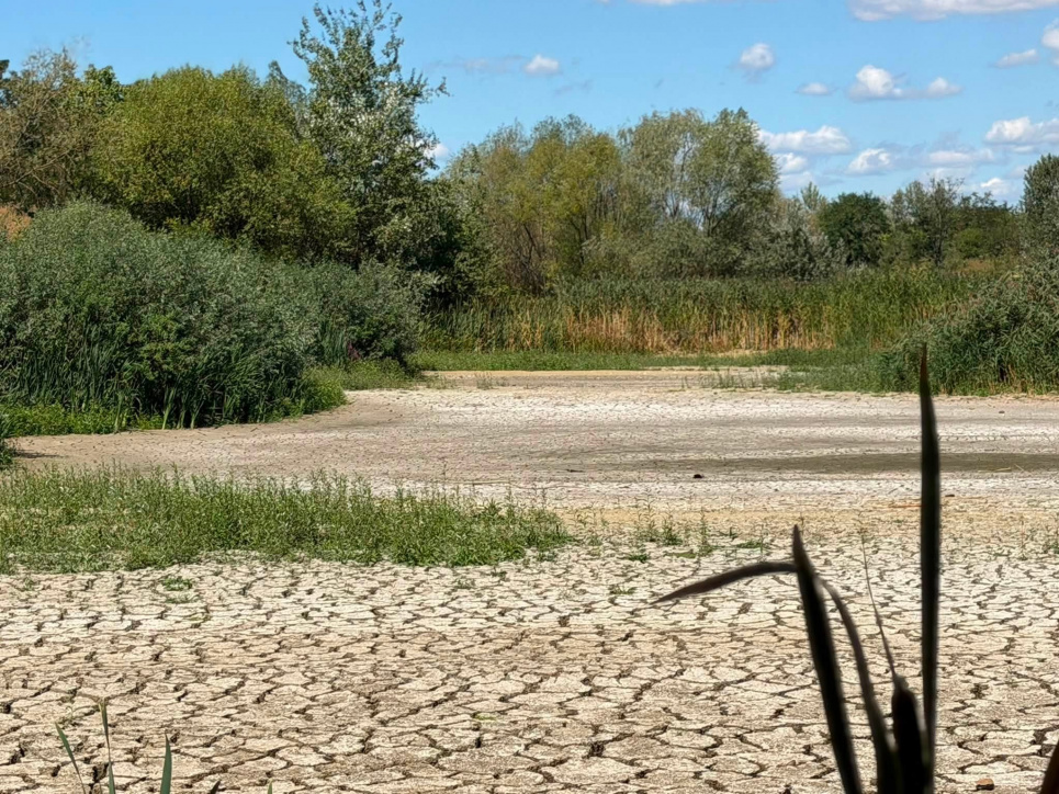 В Ужгороді висохло Чорне озеро: унікальна екосистема опинилася під загрозою знищення