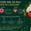 Шкільний сезон вже на носі. Які квіти обрати на 1 вересня?
