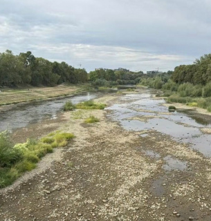 Річка Уж критично обміліла в Ужгороді. Фото: Ольга Слава