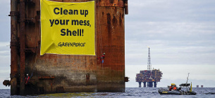 День народження Greenpeace 15 вересня: історія та внесок у довкілля