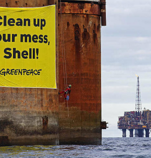 День рождения Greenpeace 15 сентября: история и вклад в охрану окружающей среды