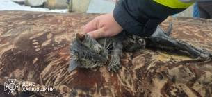 Фото: ГСЧС Харьковской области