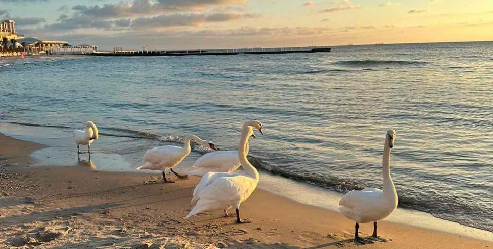 Всесвітній день моря 24 вересня: історія, значення та екологія