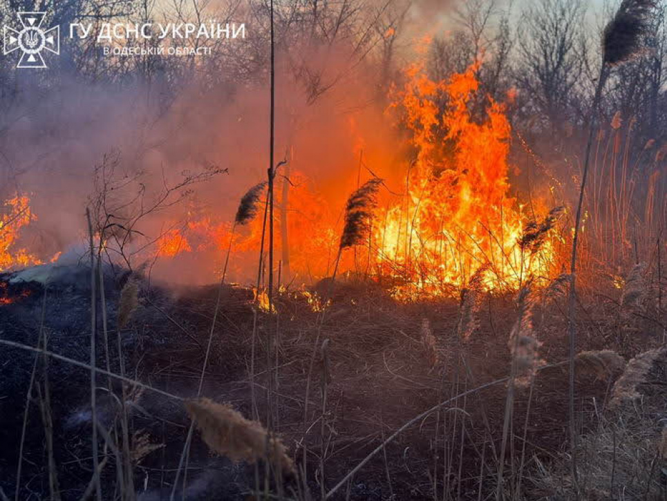 Фото: ГУ ДСНС України в Одеській області