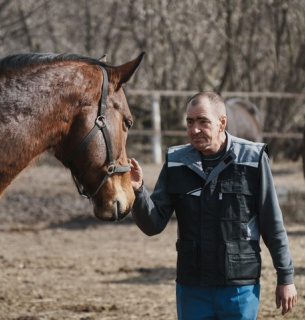 Помер конюх Олексій Болюх, який врятував табун коней під час окупації Старого Салтова