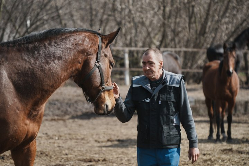 Помер конюх Олексій Болюх, який врятував табун коней під час окупації Старого Салтова
