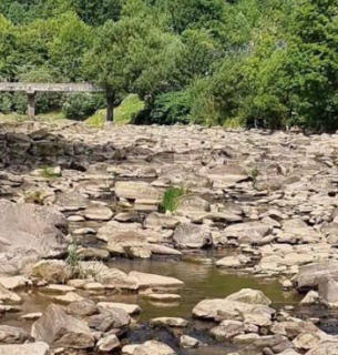 На річках України прогнозують критично низькі рівні води
