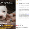 Логотипы с ушками и хвостиками: как украинский бизнес объединился ради спасения животных