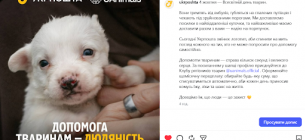 Логотипы с ушками и хвостиками: как украинский бизнес объединился ради спасения животных