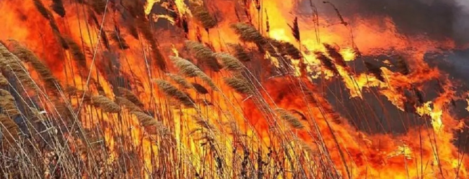 Image: Одеське життя