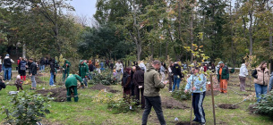 В Одессе высадили 50 кленов в парке Победы: акция памяти и рода. Фото: Суспільне Одеса
