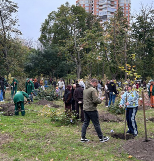 В Одесі висадили 50 кленів у парку Перемоги: акція пам'яті та роду. Фото: Суспільне Одеса