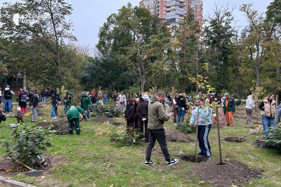 В Одесі висадили 50 кленів у парку Перемоги: акція пам'яті та роду. Фото: Суспільне Одеса